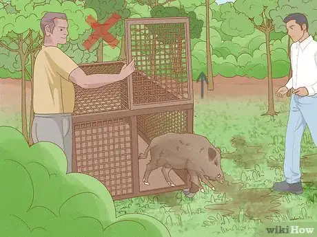 Image titled Protect Crops from Wild Pigs Step 14