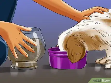 Image titled Introduce a Puppy to a Dog Step 19