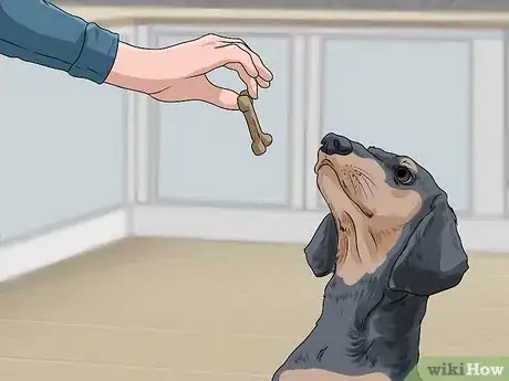 Image titled Crate Train Dachshunds Step 11