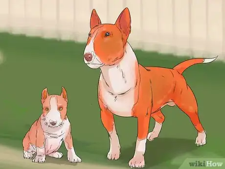 Image titled Choose an Active Dog Step 3