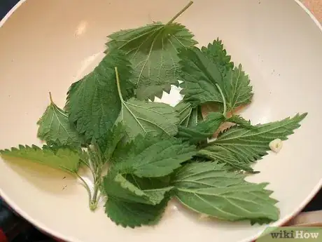 Image titled Eat Stinging Nettles Step 6