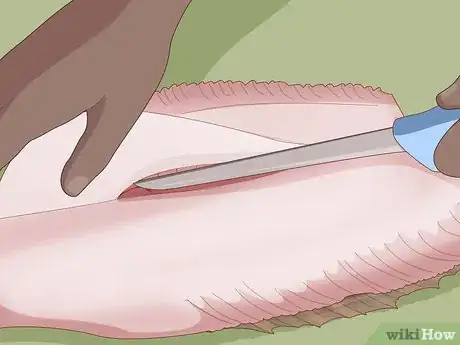 Image titled Prepare Fish Step 37