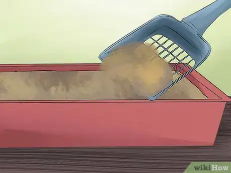 Image titled Take Care of a Japanese Bobtail Step 10