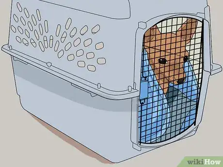 Image titled Fly Internationally With a Dog Step 18