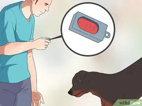 Image titled Get a Dog to Do a Handstand Step 9