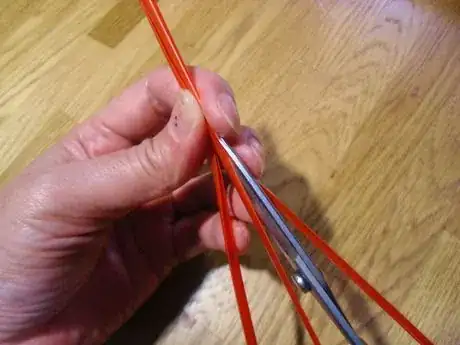 Image titled Ssack4_367.JPG