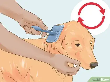 Image titled Get Dog Smell Out of a Basement Step 29