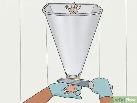 Image titled Raise Meat Chickens Step 26