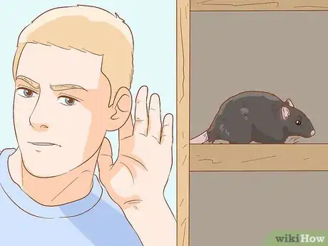 Image titled Prevent a Rat Infestation Step 13