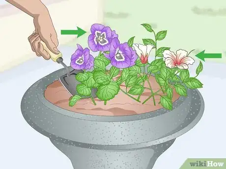 Image titled Plant in Urns Step 2