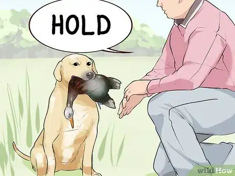 Image titled Do Short Training Sessions with Your Hunting Dog Step 13
