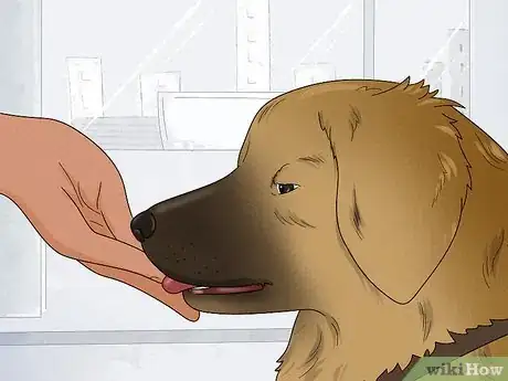 Image titled Keep a Dog Out of the Kitchen Step 3