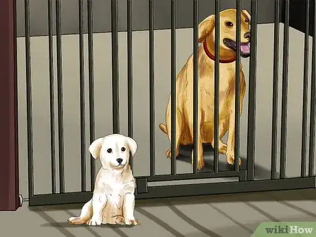Image titled Introduce a Puppy to a Dog Step 10