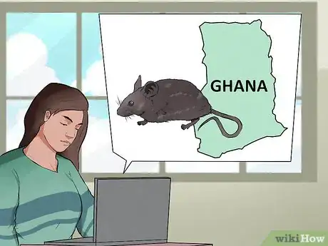 Image titled Avoid Lassa Fever Step 7