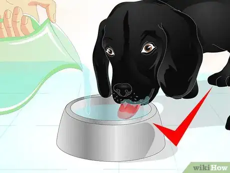 Image titled Firm Up Your Dog's Stool Step 11