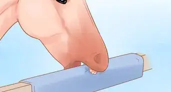 Keep a Horse from Cribbing