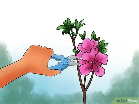 Image titled Care for Azaleas Step 10