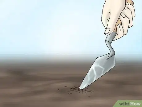 Image titled Plant Confederate Jasmine Step 10