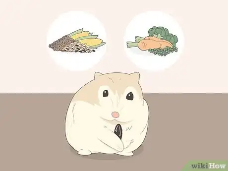 Image titled Feed Pets when You Can't Find Pet Food Step 5