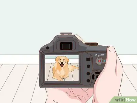 Image titled Start a Pet Photography Business Step 15