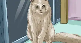 Use a Backyard Bird Feeder