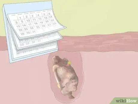 Image titled Grow Rhubarb Step 12