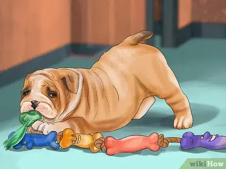 Image titled Tell if Your Older Dog Is over Exerting Itself Step 3