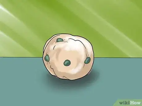 Image titled Make No Bake Cat Treats Step 13