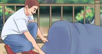 Manage a Balcony Garden