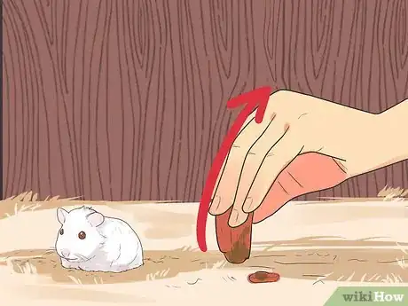 Image titled Feed Dwarf Hamsters Step 12