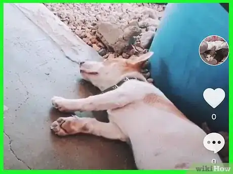 Image titled Make Duets on Tik Tok on iPhone or iPad Step 2