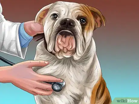 Image titled Rehome a Rescue Dog Step 20