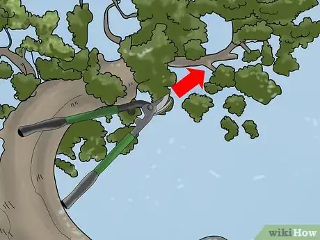 Image titled Prune a Juniper Tree Step 8