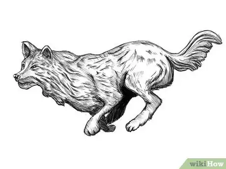 Image titled How to Draw a Running Wolf Step 6