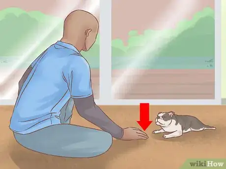 Image titled Choose a Training Program for Your Dog Step 11