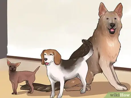 Image titled Choose the Right Dog Breed to Protect Your Home Step 15