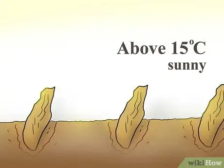 Image titled Plant Plumeria Seeds Step 7