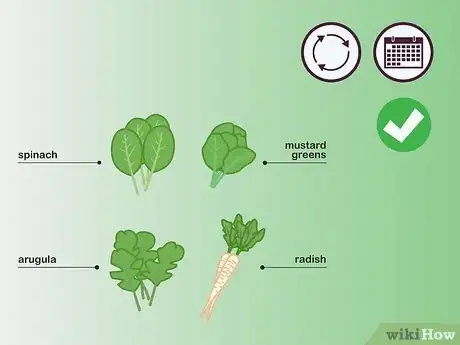Image titled Choose Vegetables to Grow Step 13