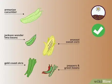 Image titled Choose Vegetables to Grow Step 04