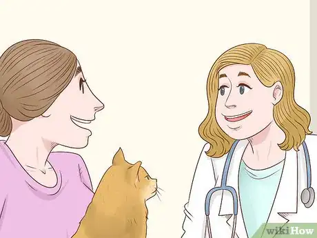 Image titled Give Atenolol to Cats with Heart Disease Step 2