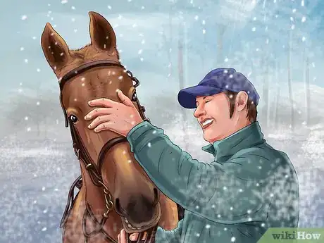 Image titled Exercise Horses in Cold Weather Step 1