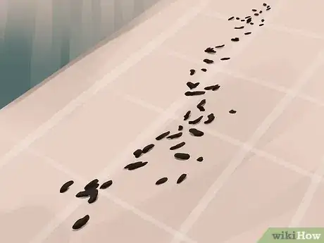 Image titled Catch a Gerbil on the Loose Step 4