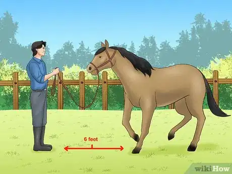 Image titled Calm Your Hot Horse Step 5