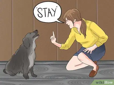 Image titled Prepare Your Dog to Go Off‐Leash Step 4