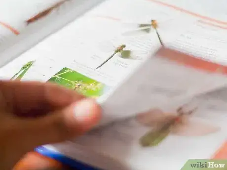 Image titled Make a Personal Collage Step 3