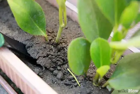 Image titled Make Vegetables More Appealing to Kids Step 14