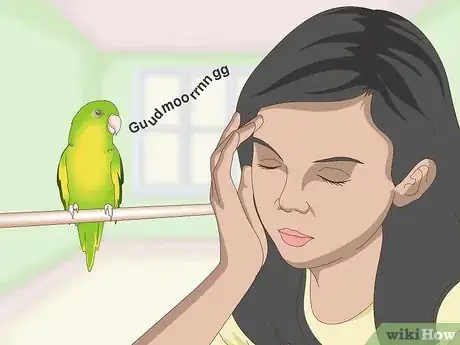 Image titled Teach a Parrotlet to Speak Step 4