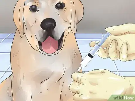 Image titled Give a Dog a Rabies Shot at Home Step 8