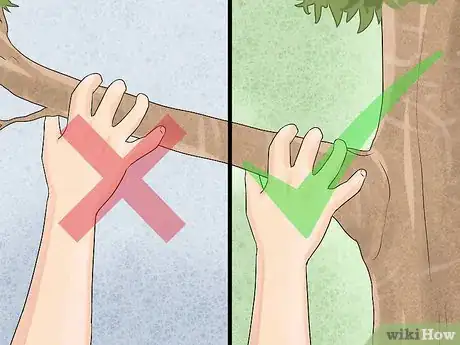 Image titled Free Climb a Tree Step 9