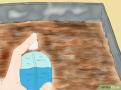 Image titled Grow Redwoods from Seed Step 7